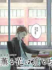 小姐 电影海报